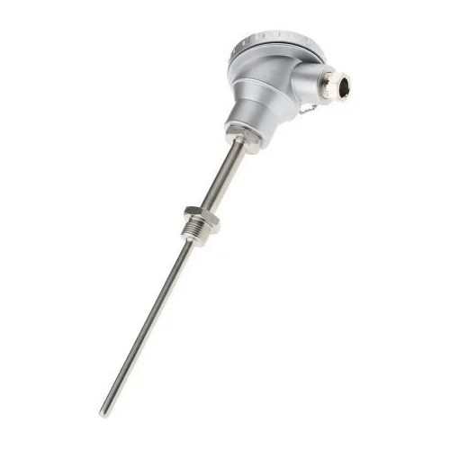 RTD (Resistance Temperature Detector)